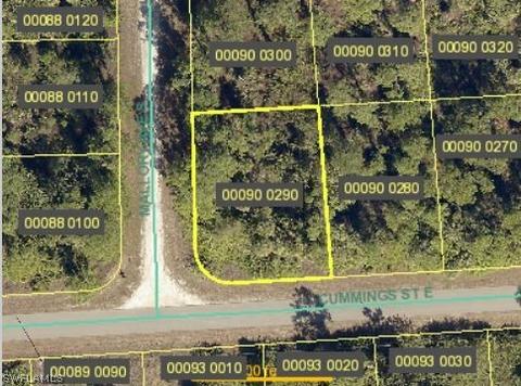 1233 Cumming St E, Lehigh Acres, FL 33974