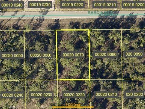 884 Barcia St E, Lehigh Acres, FL 33974