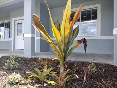 9010 E Broad Cir, Labelle, FL 33935 photo 5