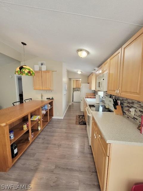 829 Sioux Ave, Labelle, FL 33935 photo 10