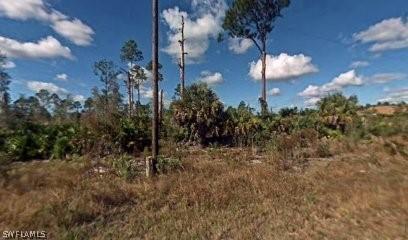4602 Flora Ave N, Lehigh Acres, FL 33971