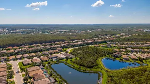 20290 Cypress Shadows Blvd, Estero, FL 33928 photo 33