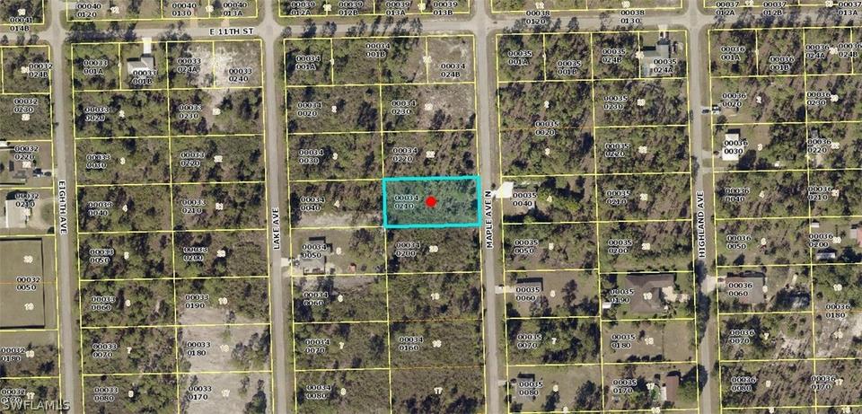  1017 Maple Ave N, Lehigh Acres, FL 33972 photo 1