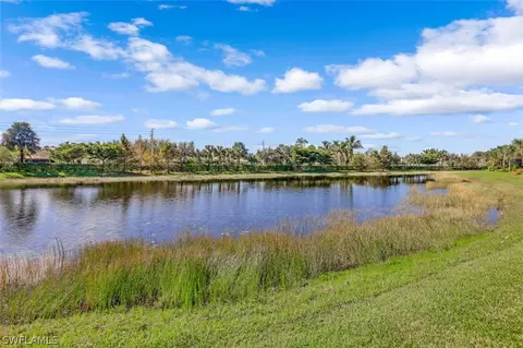 4098 Raffia Dr, Naples, FL 34119 photo 28