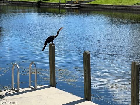1822 SE 6th Ave, Cape Coral, FL 33990