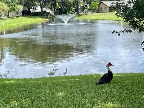 169 Captains Pointe Cir, Saint Augustine, FL 32086 photo 11