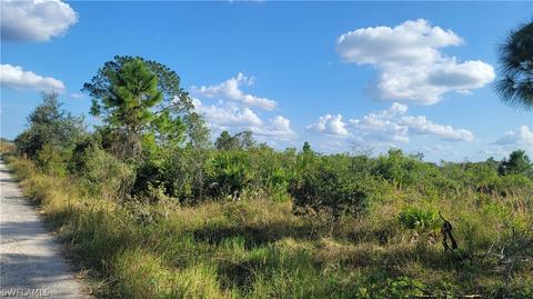 23855 Dixie Rd, Labelle, FL 33935 photo 5