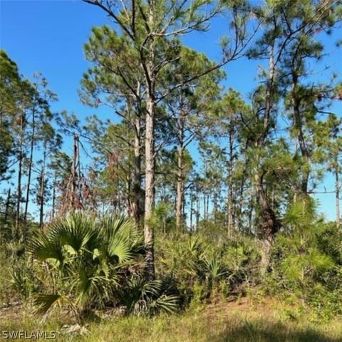 3202 32nd St W, Lehigh Acres, FL 33971