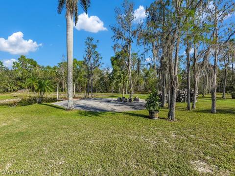 20401 Carter Rd, Estero, FL 33928 photo 34