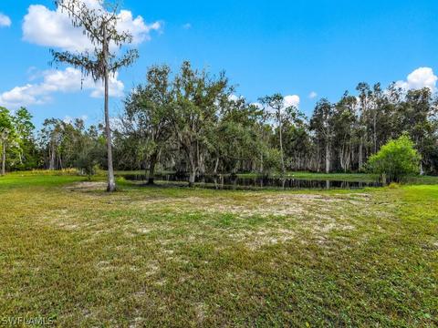 20401 Carter Rd, Estero, FL 33928 photo 37