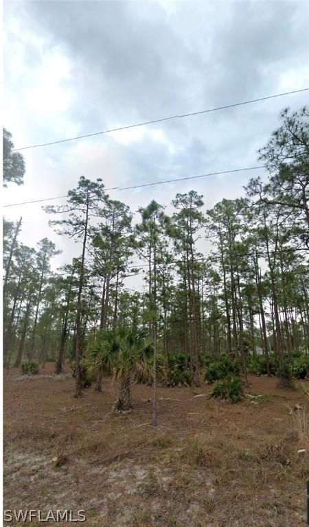 1220 Sheldon Ave, Lehigh Acres, FL 33972
