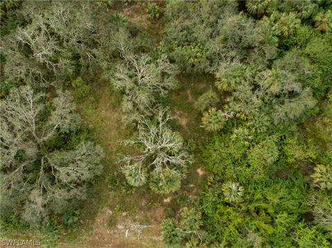 1150 Castleton Ter, Labelle, FL 33935 photo 9