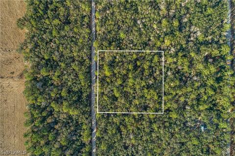 SE Wild Turkey Rd SE, Branford, FL 32088