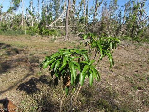 16215 Stringfellow Rd, Bokeelia, FL 33922 photo 14