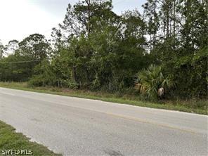 2210 Evans Rd, Labelle, FL 33935