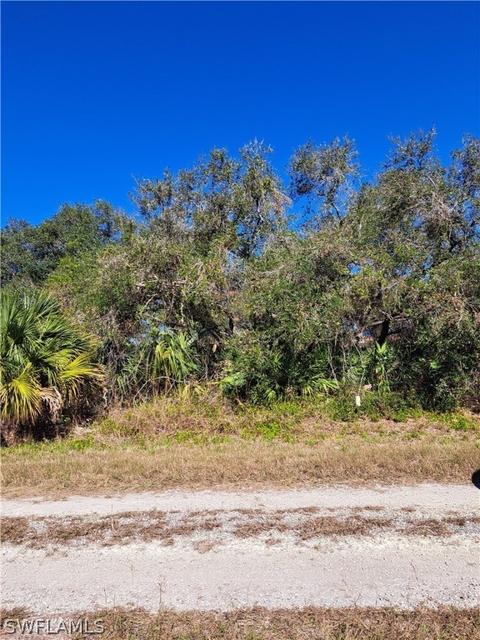4211 E 29th St, Alva, FL 33920 photo 2