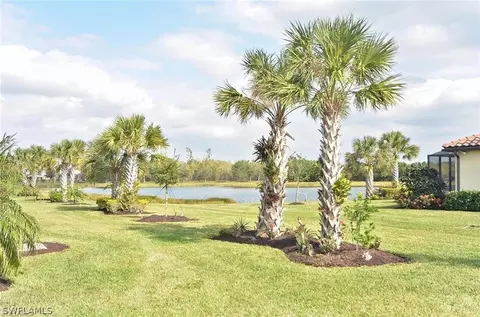 20359 Black Tree Ln, Estero, FL 33928 photo 20