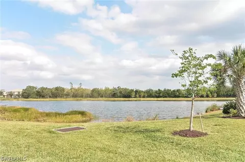 20359 Black Tree Ln, Estero, FL 33928 photo 16