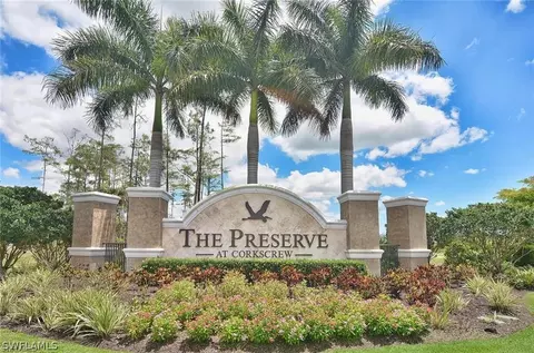 20359 Black Tree Ln, Estero, FL 33928 photo 25