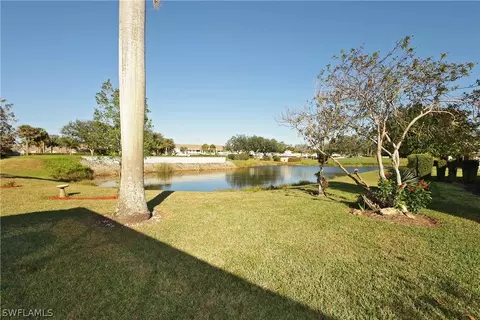 20691 Persimmon Pl, Estero, FL 33928 photo 26