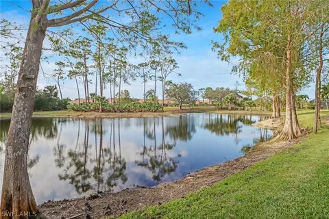 21156 Braxfield Loop, Estero, FL 33928 photo 26