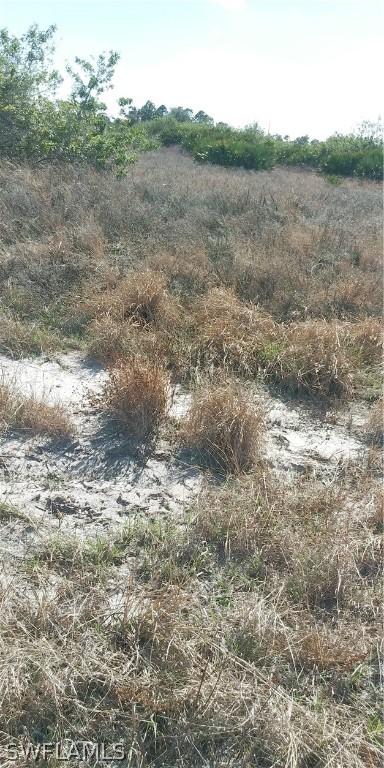 7621 16th Pl, Labelle, FL 33935 photo 8