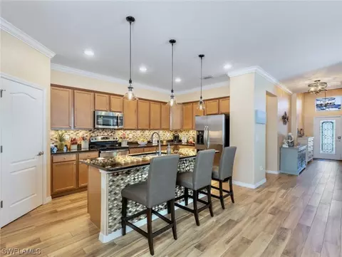 13078 Cardeto Ct, Estero, FL 33928 photo 13