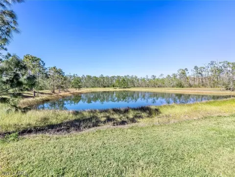 13078 Cardeto Ct, Estero, FL 33928 photo 36