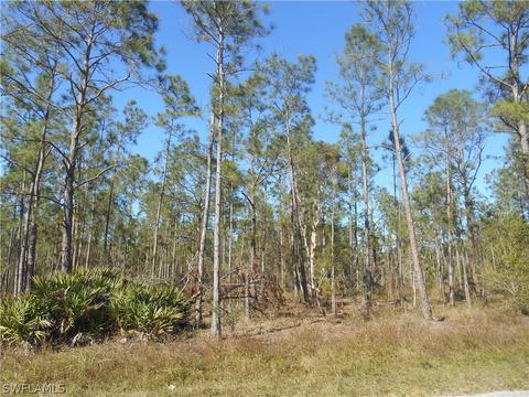 1319 Jackson Ave, Lehigh Acres, FL 33972