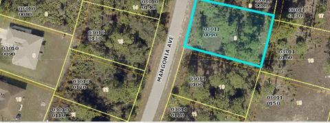 321 Mangonia Ave, Lehigh Acres, FL 33974