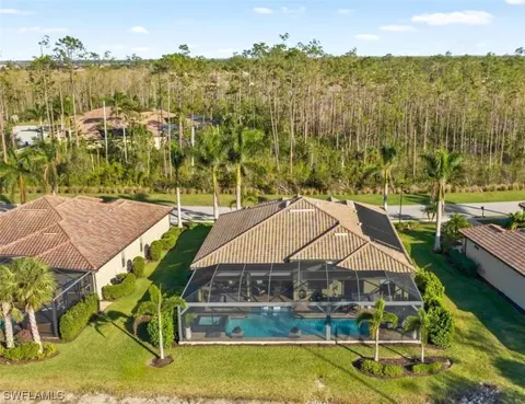 20146 Eagle Stone Dr, Estero, FL 33928 photo 6