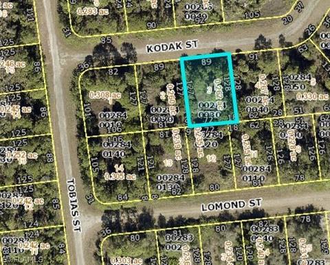 673 Kodak St, Lehigh Acres, FL 33972