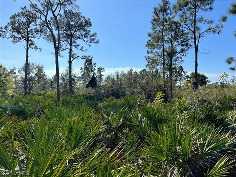 7933 5th Pl, Labelle, FL 33935 photo 4