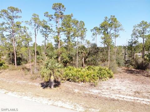 4105 E 23rd St, Alva, FL 33920 photo 2