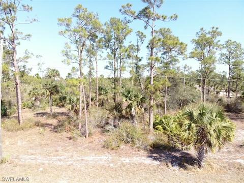 4105 E 23rd St, Alva, FL 33920 photo 3