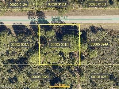 3902 E 21st St, Alva, FL 33920 photo 1