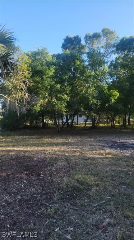 2065 Evans Rd, Labelle, FL 33935 photo 3