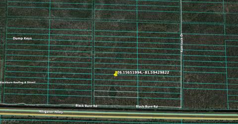 Undisclosed, Naples, FL 34117 photo 2