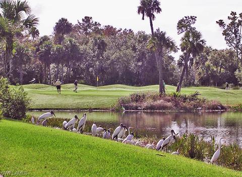 13530 Palmetto Grove Dr, Fort Myers, FL 33905