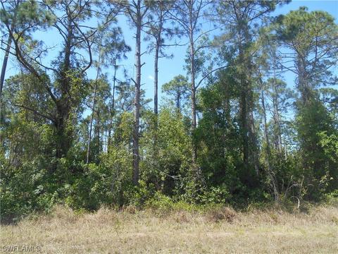 510 Walter Gifford Ave S, Lehigh Acres, FL 33974