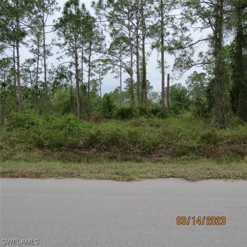 1121 Mcarthur Ave, Lehigh Acres, FL 33936