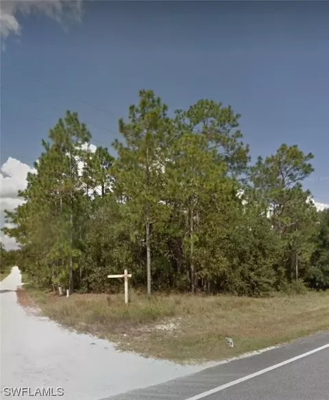Lot 1 Golden Paradise, Morriston, FL 32668