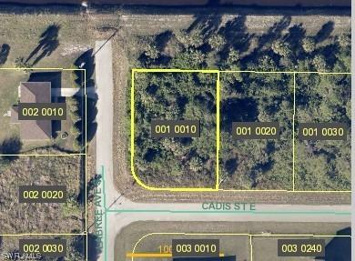 711 Cadis St E, Lehigh Acres, FL 33974