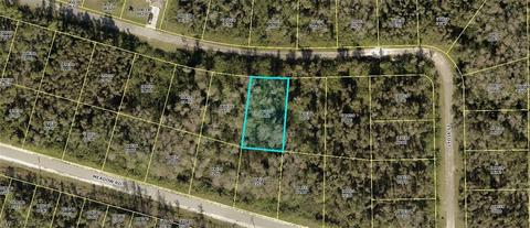 640 Lydia St, Lehigh Acres, FL 33974
