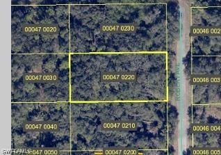1919 Robert Ave, Lehigh Acres, FL 33972