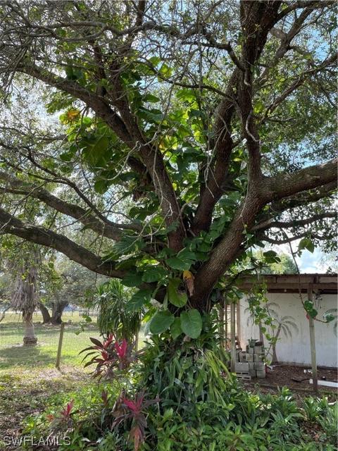1065 Evans Rd, Labelle, FL 33935 photo 14