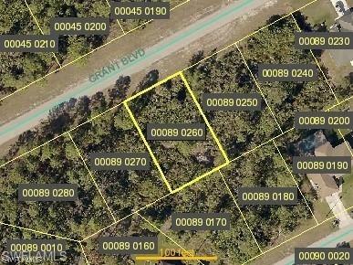 260 Grant Blvd, Lehigh Acres, FL 33974