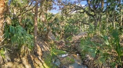 21309 Estero Preserve Run, Estero, FL 33928 photo 38