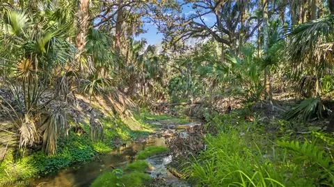 21309 Estero Preserve Run, Estero, FL 33928 photo 40