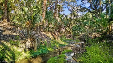 21309 Estero Preserve Run, Estero, FL 33928 photo 39